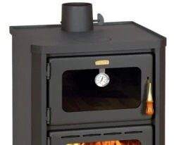 EEK A Kaminofen Mit Backfach + Herdplatte Prity FM – 12kW + BIMSCHV II -Napoleon Geschaft prity fm detail 0